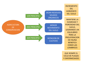 Presentación1