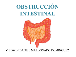 obstruccionintestinal-151207070902-lva1-app6892