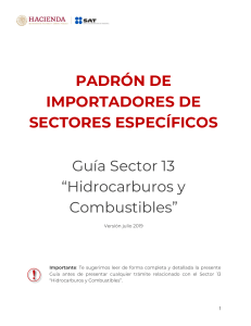 Guía+Pública+PISE+Julio+2019+20190702 (2)