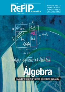 REFIP-Algebra 