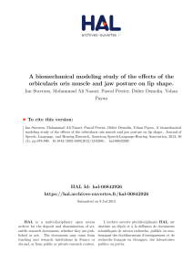 A biomechanical modeling study of the effects of the
