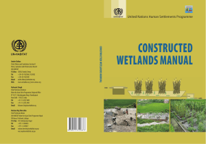 Constructed Wetland Manual