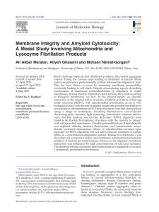 Membrane Integrity and Amyloid Cytotoxicity- A Model Study Involving Mitochondria and Lysozyme Fibrillation products