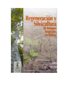 regeneracion-y-silvicultura-de-bosques-tropicales-en-bolivia