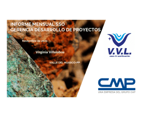 Microsoft PowerPoint - Resumen Ejecutivo SSO Noviembre de 2020 Virginia Villalobos  VH PP