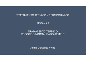 3. T.T RECOCIDO-NORMALIZADO (2)