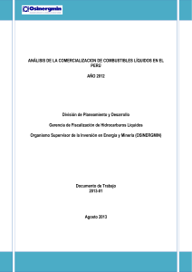 Informe Sector Hidrocarburos 2012