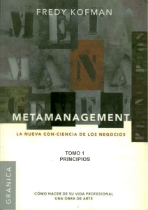 2) FK Metamanagement tomo1