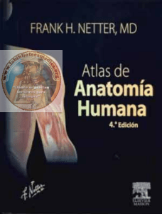 Netter – Atlas de Anatomía Humana, 4ª Edición ( PDFDrive )