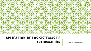 Aplicación de los sistemas de información Muñoz Gómez David