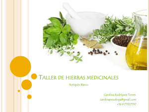 TALLER DE HIERBAS MEDICINALES (1)