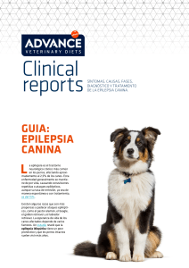 AFF - Guía Epilepsia Canina