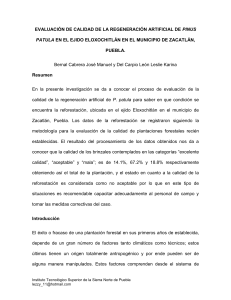 EVALUACIÓN DE CALIDAD DE LA REGENERACIÓN ARTIFICIAL DE PINUS PATULA EN EL EJIDO ELOXOCHITLÁN EN EL MUNICIPIO DE ZACATLÁN, PUEBLA