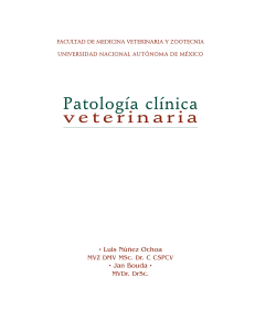 Libro Patologia Clinica Veterinaria