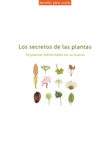 los secretos de las plantas