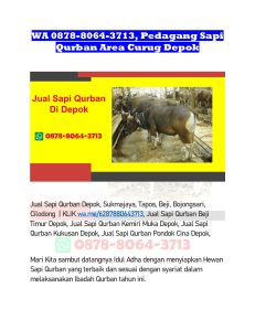WA 0878-8064-3713, Pedagang Sapi Qurban Area Curug Depok1