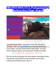 WA 0878-8064-3713, Pedagang Sapi Qurban Area Tugu  Depok