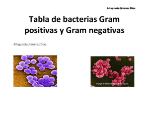 Bacterias Gram patogenia