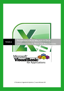 TEMA 6 Programacion de Macros de Excel utilizando VBA
