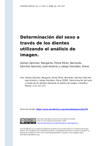 Gomez Sanchez, Margarita, Perea Perez (..) (2006). Determinacion del sexo a traves de los dientes utilizando el analisis de imagen