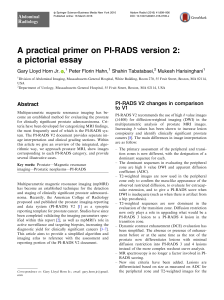 16 Abd imaging A practical primer on PIRADS 2