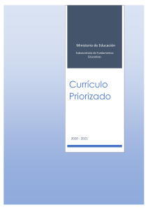 Currículo Priorizado-2020-2021
