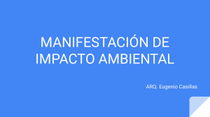 MANIFESTACIÓN DE IMPACTO AMBIENTAL (1)
