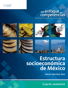 Estructura+socioeconomica+de+Mexico+Hector+Martinez+Ruiz