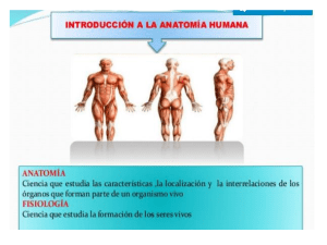 Anatomia y fisiologia