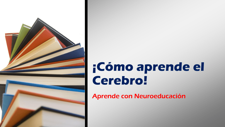 como aprende el cerebro