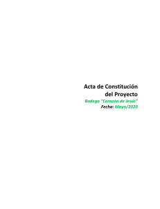 acta-de-constitucic3b3n-del-proyecto-7