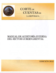 Manual de Auditoria Interna del Sector Gubernamental. (1)
