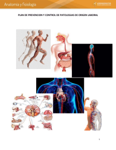 cartilla anatomia y fisiologia