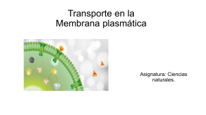 Transporte en la membrana plasmática
