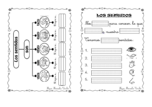 los sentidos en accion (1)-convertido