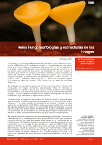 257772435-Reino-Fungi