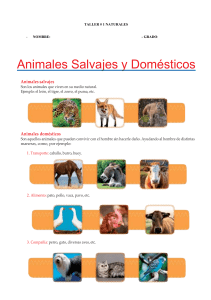 Animales-Salvajes-y-Domésticos-para-Segundo-de-Primaria