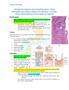Patología Vías digestivas altas II (HAYDEE) (1)