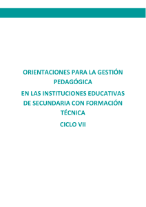 ORIENTACIONES EPT CICLO VII 150319