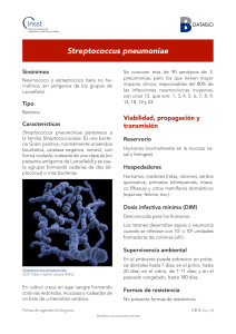 Streptococcus pneumoniae - Año 2019