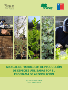 Manual Protocolos de Produccion