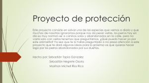 Proyecto-de-protección