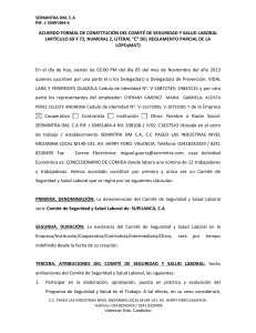 ACUERDO FORMAL DE CONSTITUCIÓN DEL COMITÉ DE SEGURIDAD L UANA - copia (Autoguardado)