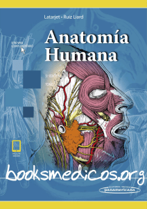 Latarjet - Ruiz Liard Anatomia Humana 5a Edicion T1