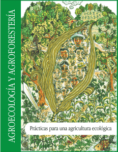 Agroecología y agroforestería Prácticas para una agricultura ecológica-Otros Mundos Chiapas-63p