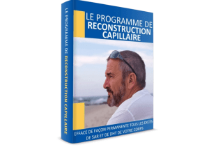 Le Programme de Reconstruction Capillaire Pdf