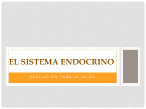 El sistema endocrino (1)