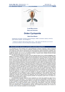 Cyclopoida