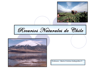 8782932-recursos-naturales-de-chile-110507181659-phpapp01