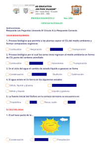 3RA. CLASE CCNN EVAL. DIAG. 9no. AÑO